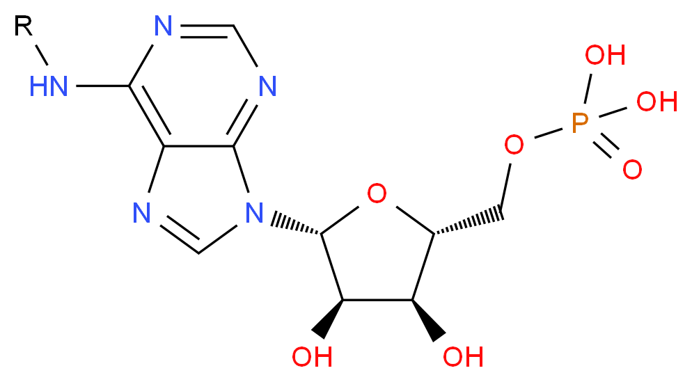 MFCD04113722 分子结构
