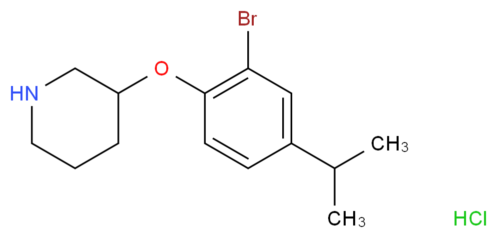 MFCD13560793 分子结构