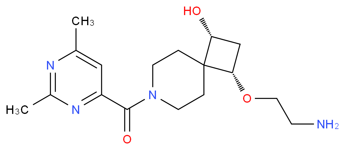  分子结构