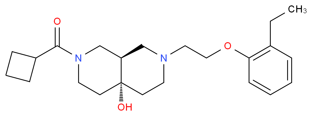  分子结构