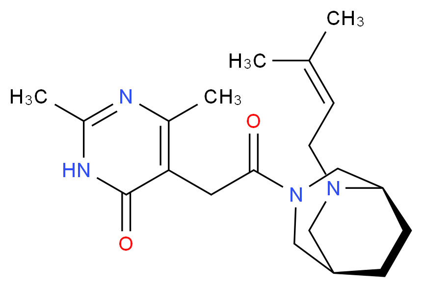 分子结构