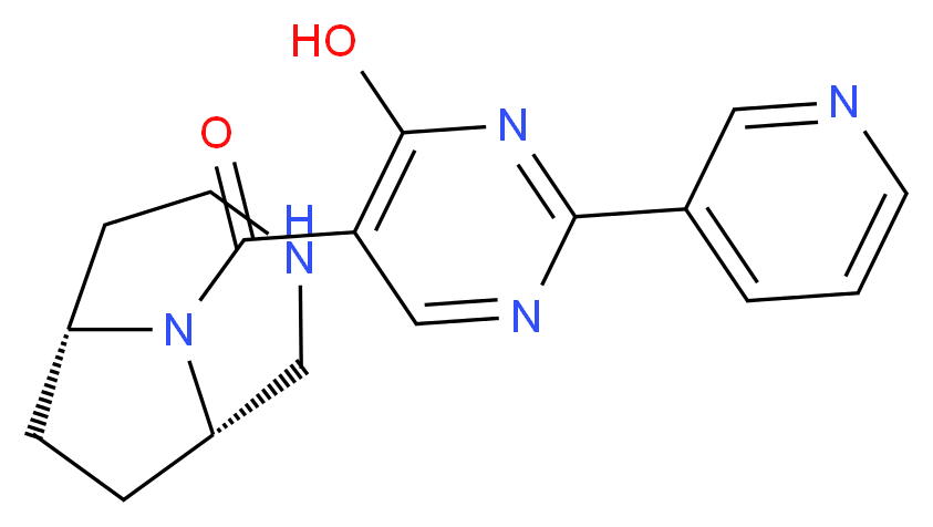  分子结构