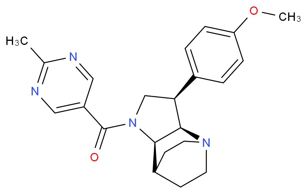  分子结构