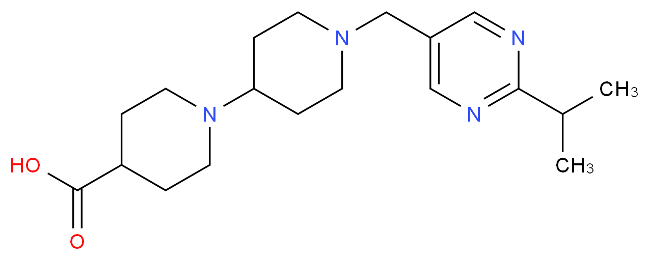  分子结构