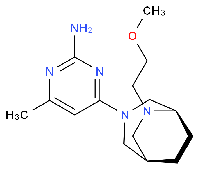  分子结构
