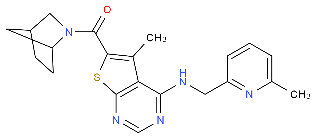  分子结构