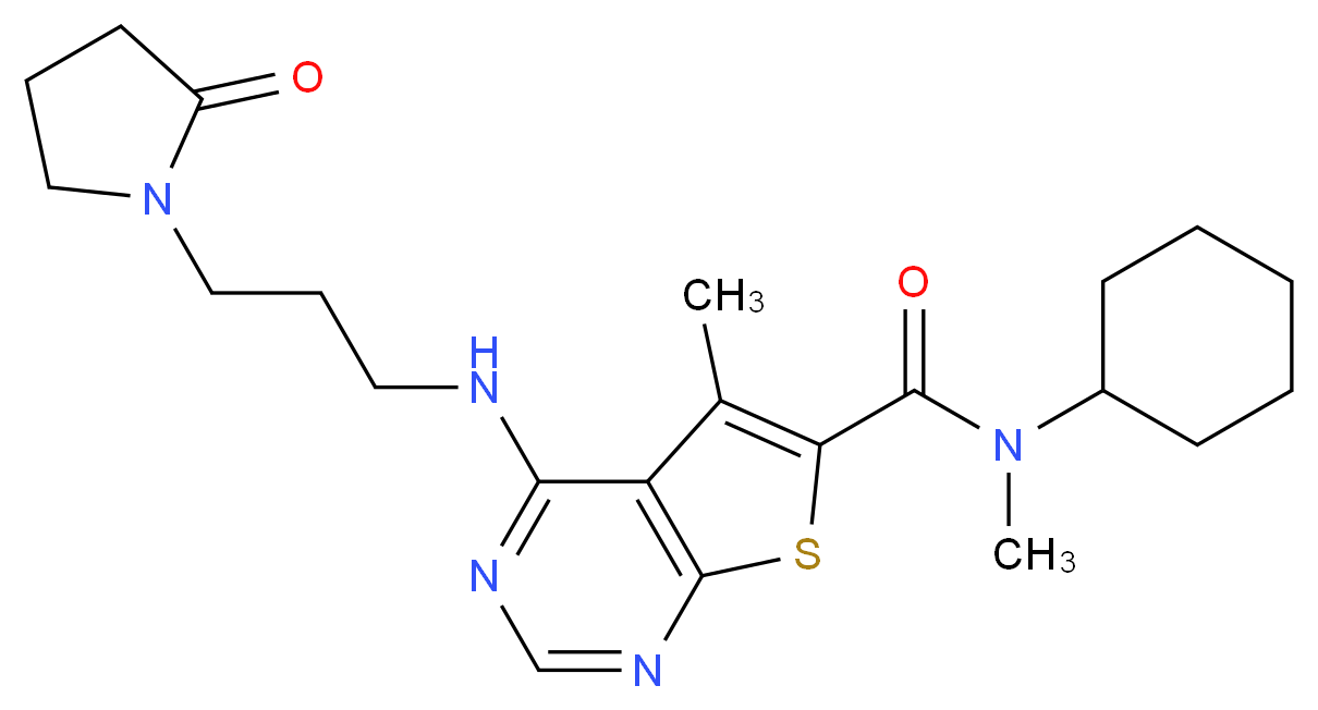  分子结构
