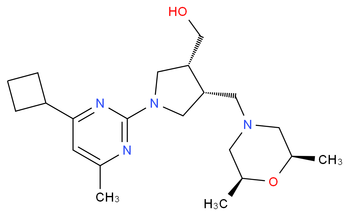 分子结构