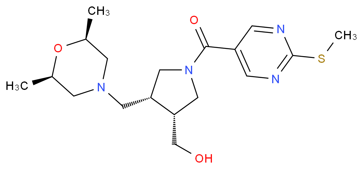 分子结构