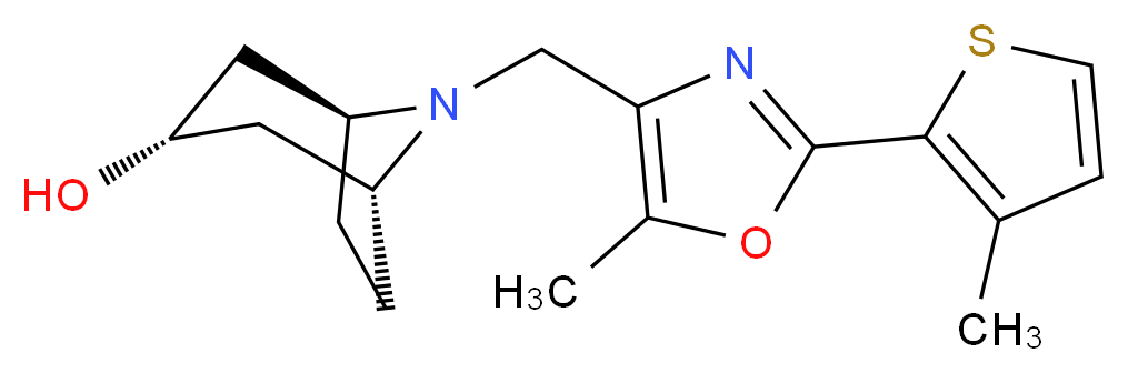  分子结构