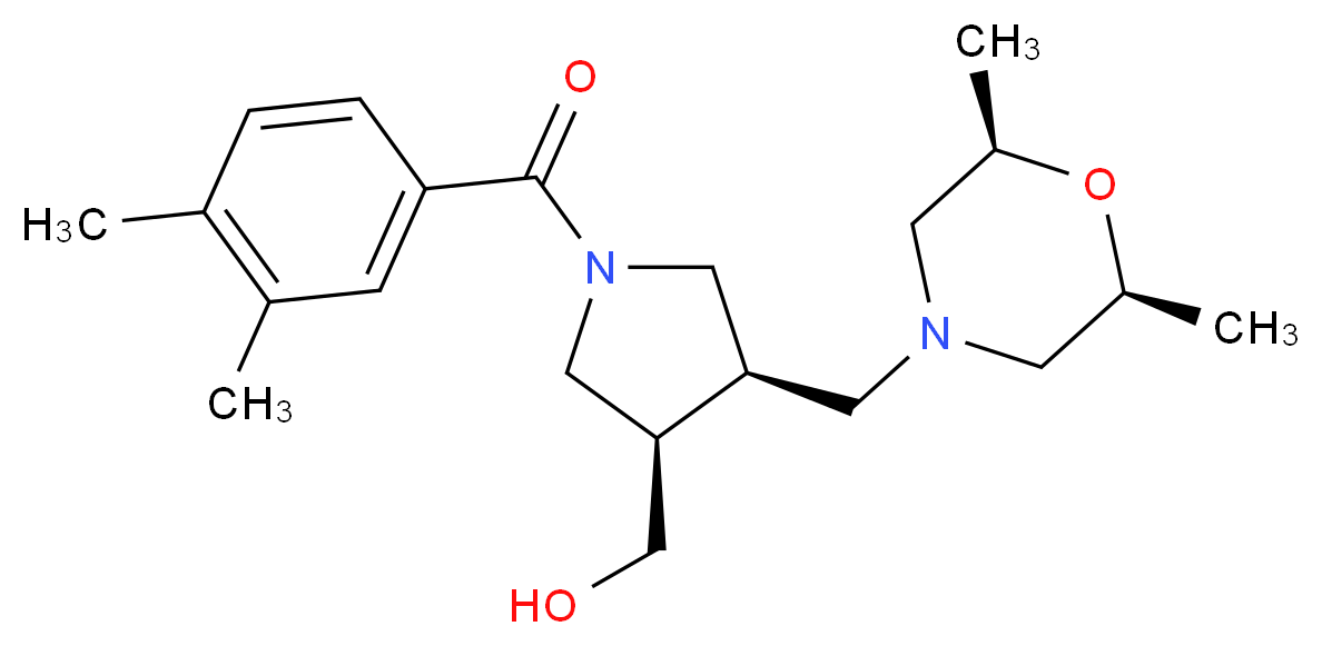  分子结构