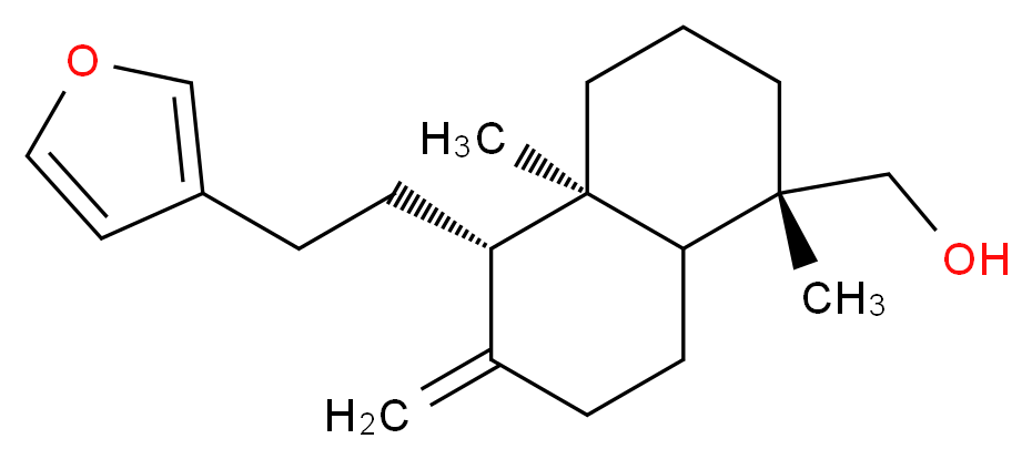 164256851 分子结构