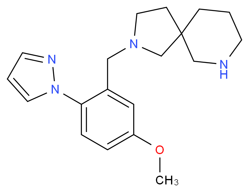  分子结构
