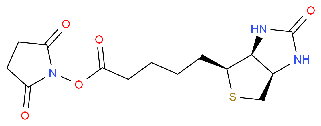 2,5-dioxopyrrolidin-1-yl 5-[(3aS,4S,6aR)-2-oxo-hexahydro-1H-thieno[3,4-d]imidazolidin-4-yl]pentanoate_分子结构_CAS_35013-72-0