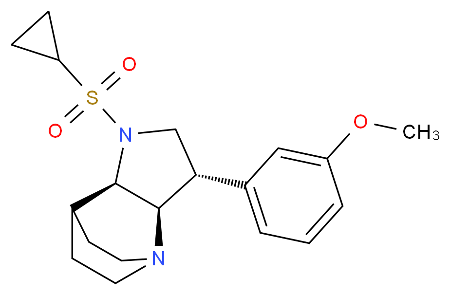 CAS_ 分子结构