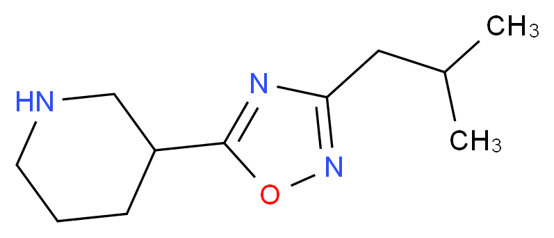 3-[3-(2-methylpropyl)-1,2,4-oxadiazol-5-yl]piperidine_分子结构_CAS_915921-88-9