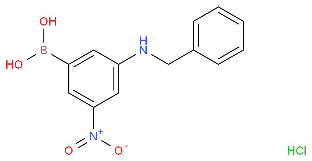 3-苄氨基-5-硝基苯硼酸盐酸盐_分子结构_CAS_913835-78-6)