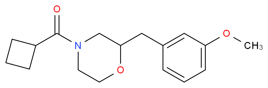 4-(cyclobutylcarbonyl)-2-(3-methoxybenzyl)morpholine_分子结构_CAS_)