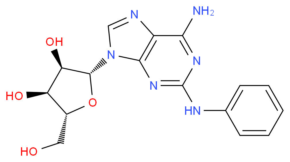 2-PHENYLAMINOADENOSINE_分子结构_CAS_53296-10-9)