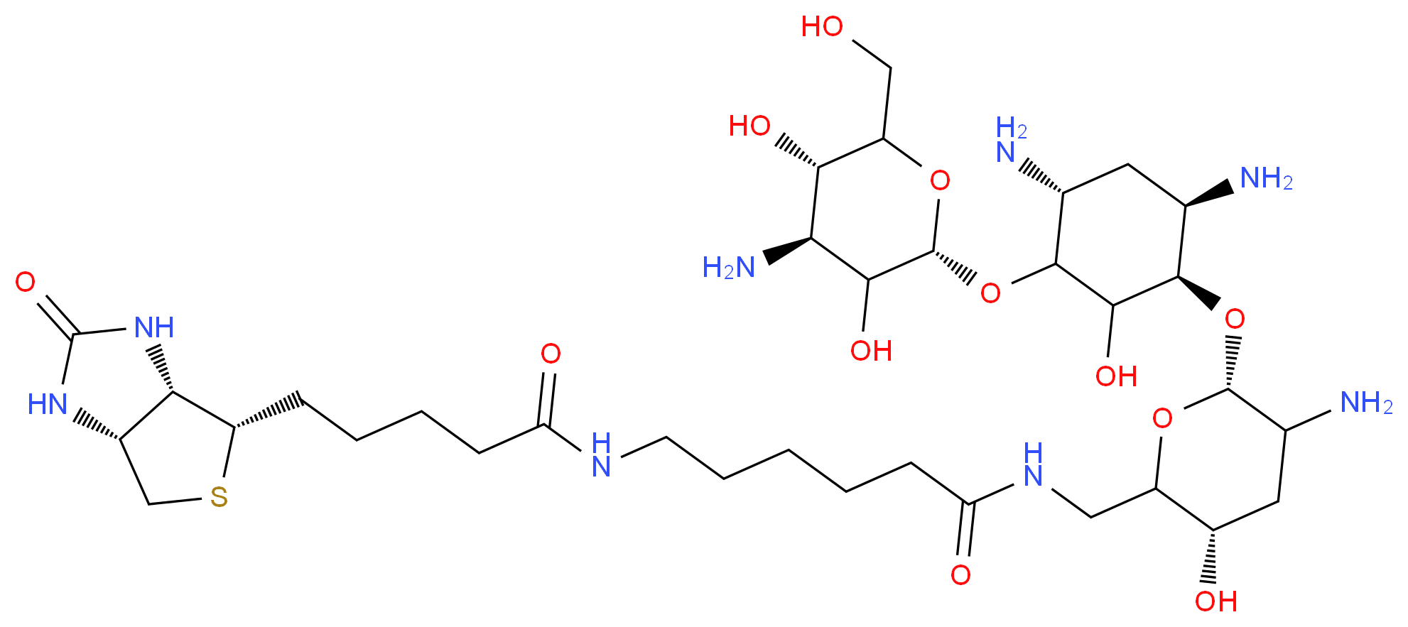 6-{5-[(3aS,4S,6aR)-2-oxo-hexahydro-1H-thieno[3,4-d]imidazolidin-4-yl]pentanamido}-N-{[(3S,6R)-5-amino-6-{[(1R,4R,6R)-4,6-diamino-3-{[(2S,4S,5S)-4-amino-3,5-dihydroxy-6-(hydroxymethyl)oxan-2-yl]oxy}-2-hydroxycyclohexyl]oxy}-3-hydroxyoxan-2-yl]methyl}hexanamide_分子结构_CAS_419573-19-6