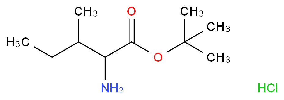 tert-butyl 2-amino-3-methylpentanoate hydrochloride_分子结构_CAS_69320-89-4