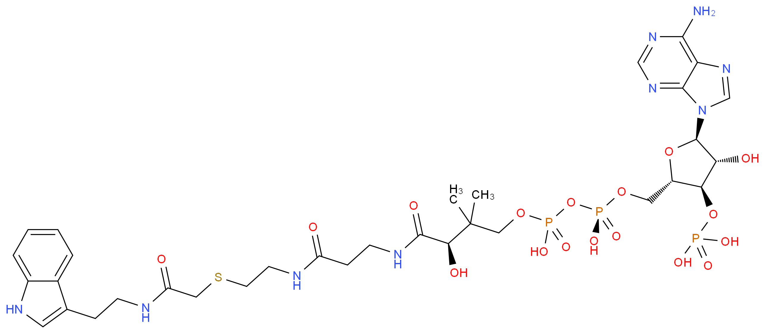 CAS_ 分子结构