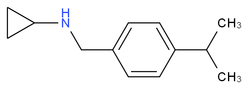 N-(4-isopropylbenzyl)cyclopropanamine_分子结构_CAS_848658-77-5)