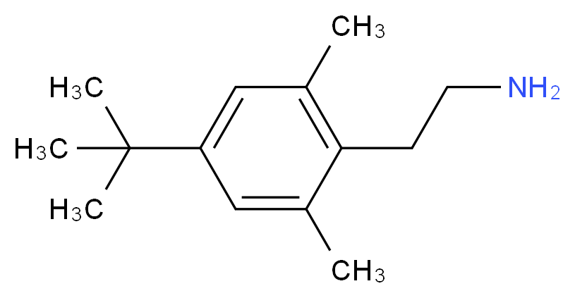 2-(4-tert-butyl-2,6-dimethylphenyl)ethanamine_分子结构_CAS_93720-89-9)