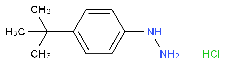 (4-tert-butylphenyl)hydrazine hydrochloride_分子结构_CAS_128231-55-0