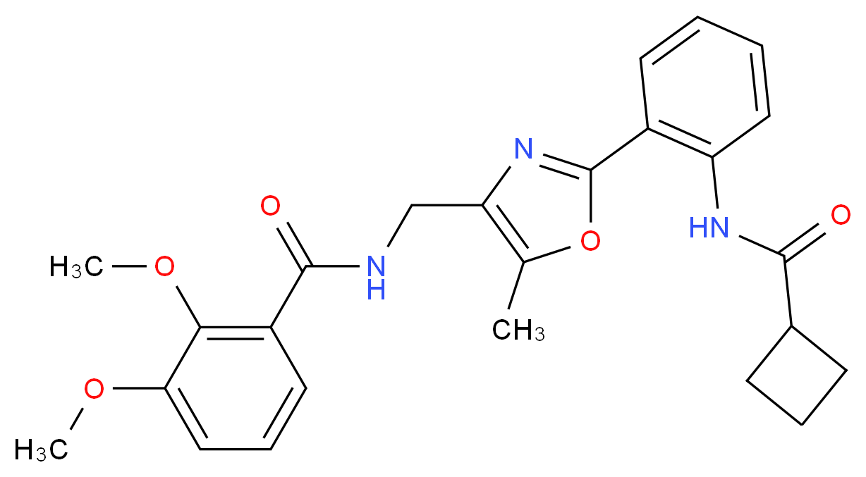 N-[(2-{2-[(cyclobutylcarbonyl)amino]phenyl}-5-methyl-1,3-oxazol-4-yl)methyl]-2,3-dimethoxybenzamide_分子结构_CAS_)