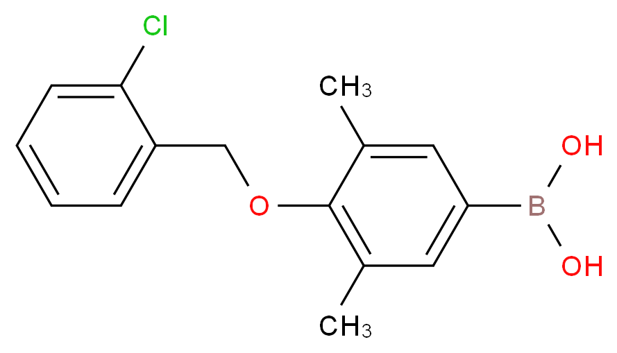 {4-[(2-chlorophenyl)methoxy]-3,5-dimethylphenyl}boronic acid_分子结构_CAS_849052-15-9