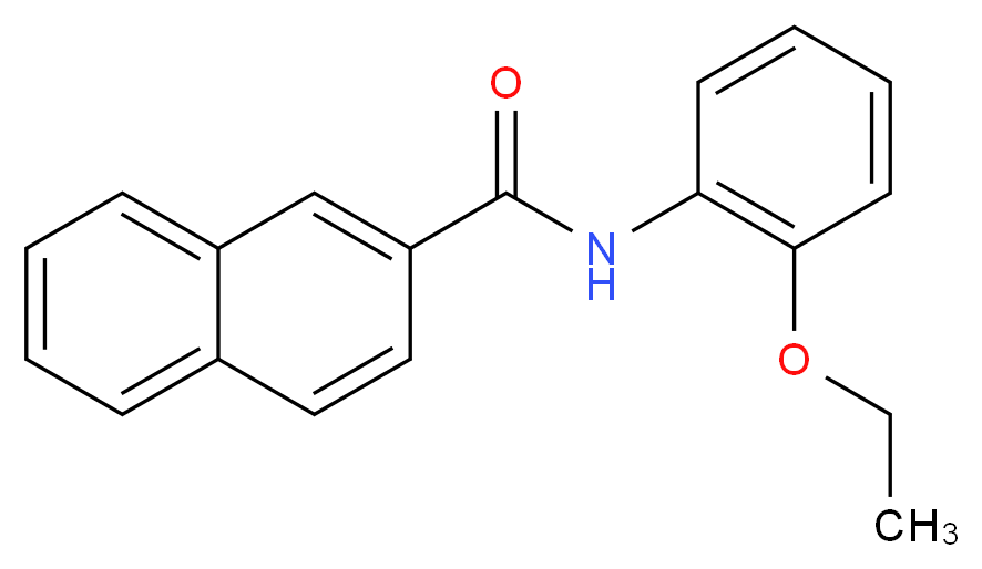 N-(2-ethoxyphenyl)naphthalene-2-carboxamide_分子结构_CAS_4711-67-5