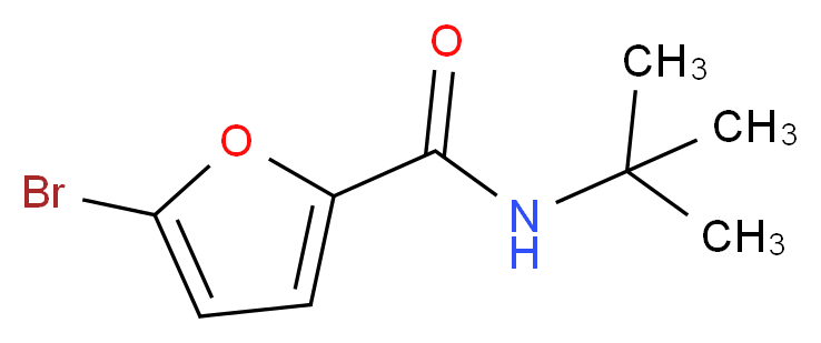 5-bromo-N-tert-butylfuran-2-carboxamide_分子结构_CAS_356562-19-1