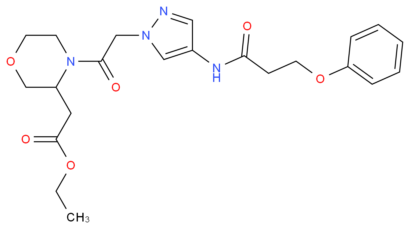 ethyl [4-({4-[(3-phenoxypropanoyl)amino]-1H-pyrazol-1-yl}acetyl)-3-morpholinyl]acetate_分子结构_CAS_)