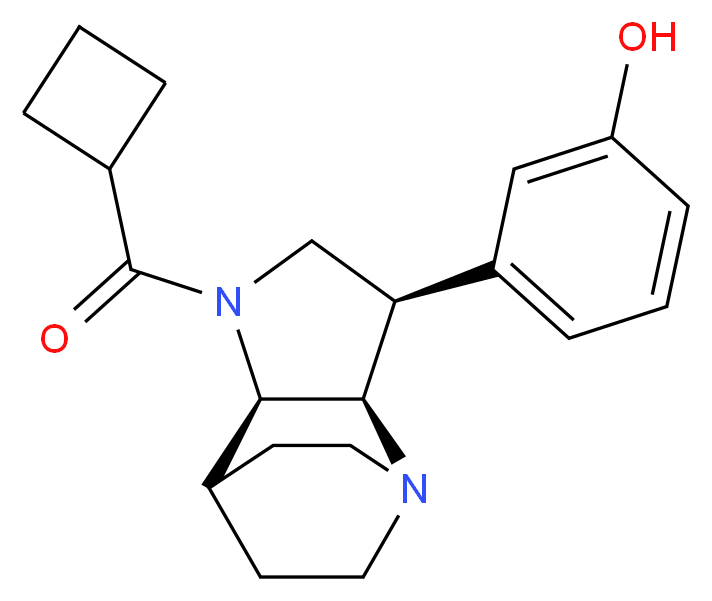 3-[(3R*,3aR*,7aR*)-1-(cyclobutylcarbonyl)octahydro-4,7-ethanopyrrolo[3,2-b]pyridin-3-yl]phenol_分子结构_CAS_)