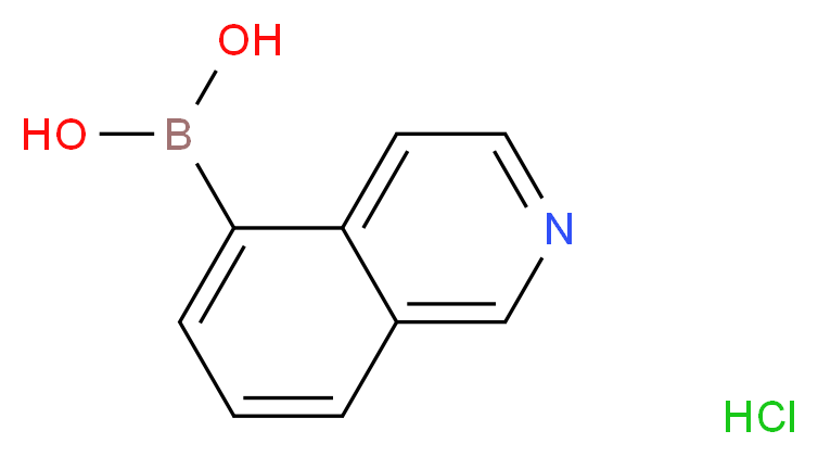 (isoquinolin-5-yl)boronic acid hydrochloride_分子结构_CAS_371766-08-4