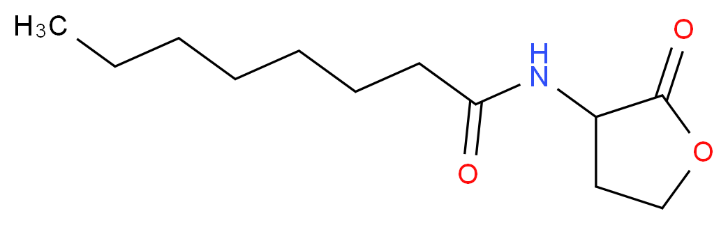 N-Octanoyl-DL-homoserine lactone_分子结构_CAS_106983-30-6)