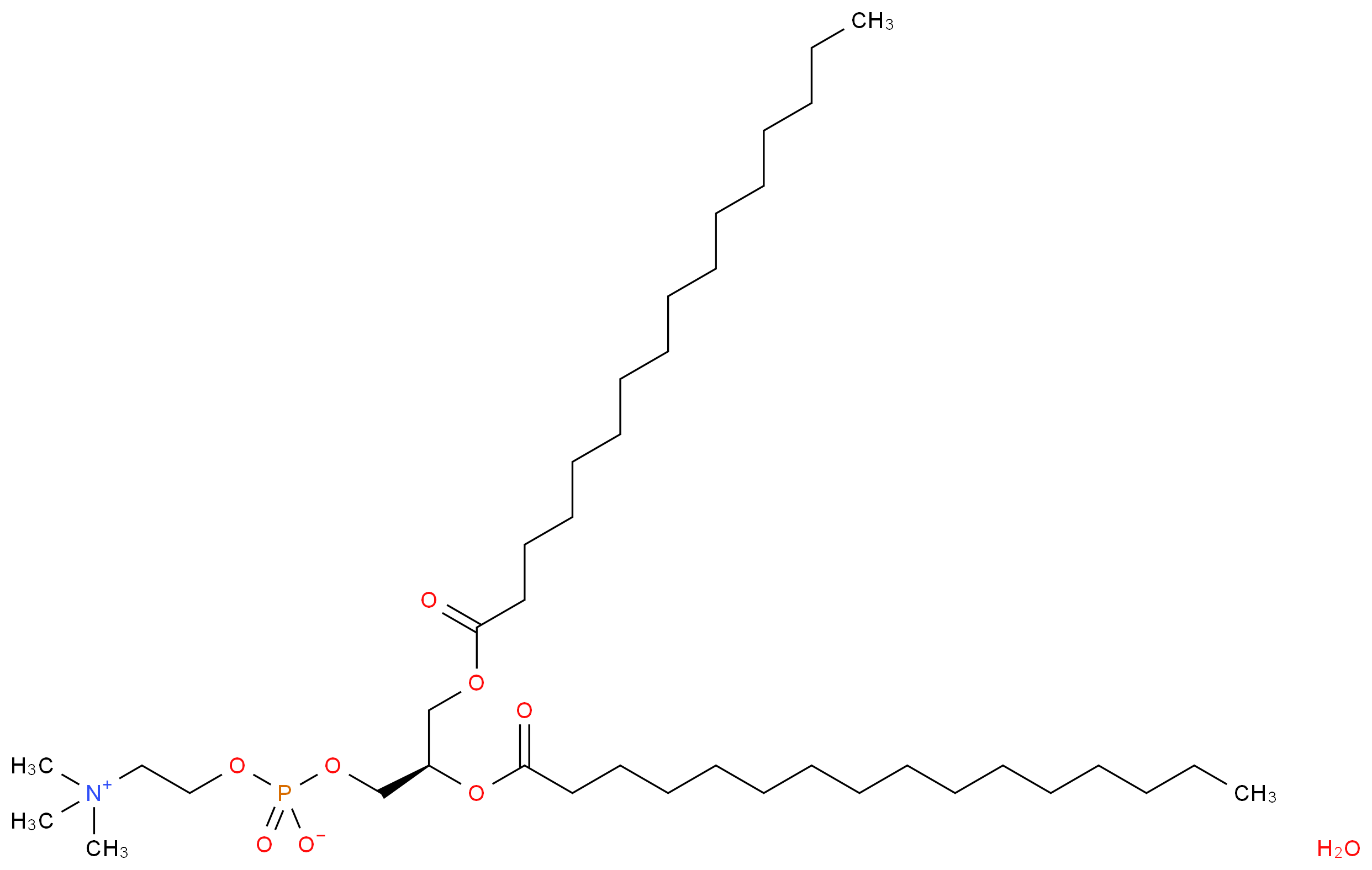 1,2-Dipalmitoyl-sn-glycero-3-phosphocholine monohydrate_分子结构_CAS_148383-51-1)