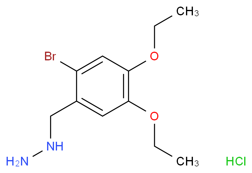 [(2-bromo-4,5-diethoxyphenyl)methyl]hydrazine hydrochloride_分子结构_CAS_926199-79-3