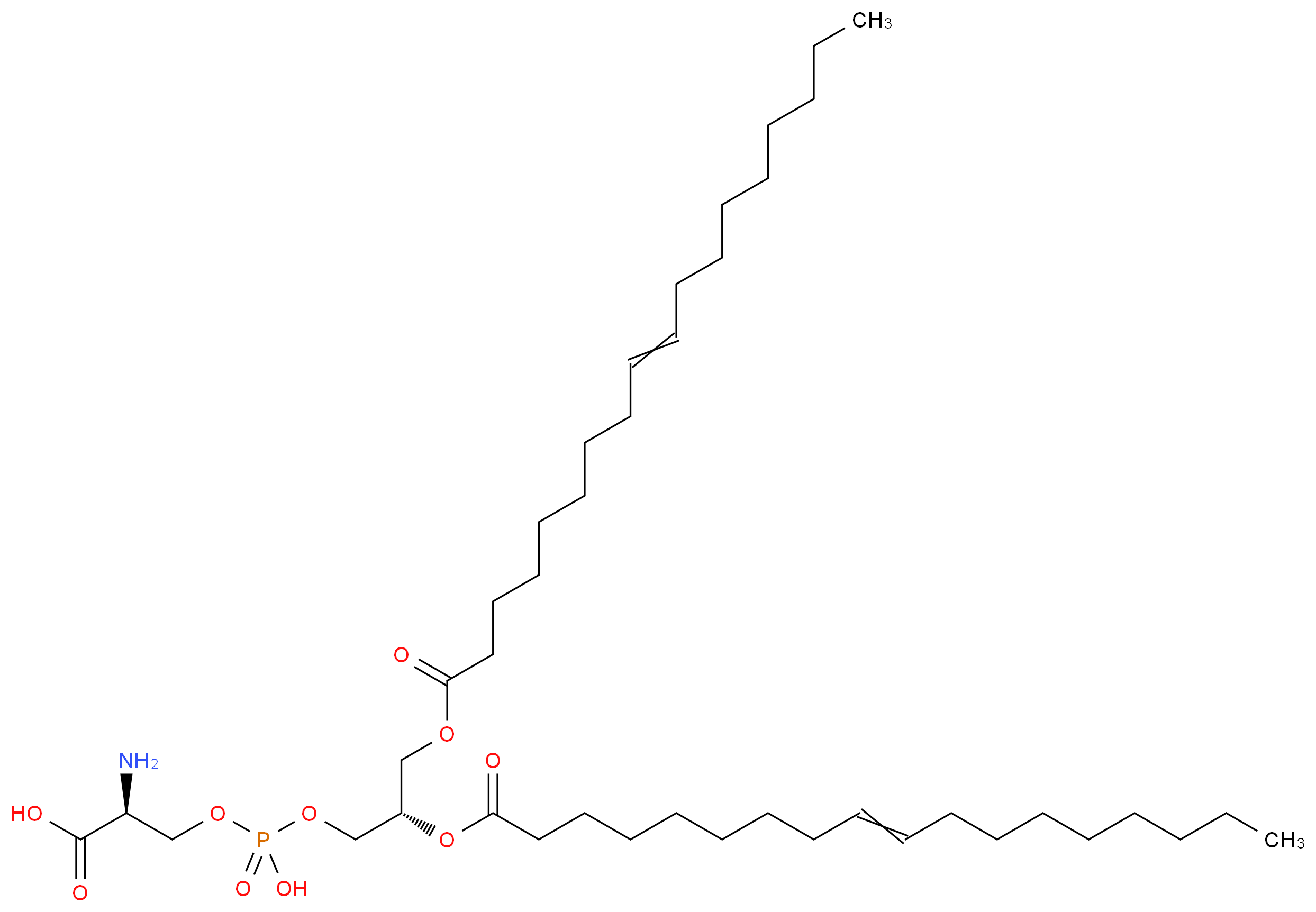 1,2-Dioleoyl-sn-glycero-3-phospho-L-serine sodium salt_分子结构_CAS_70614-14-1(freeacid))