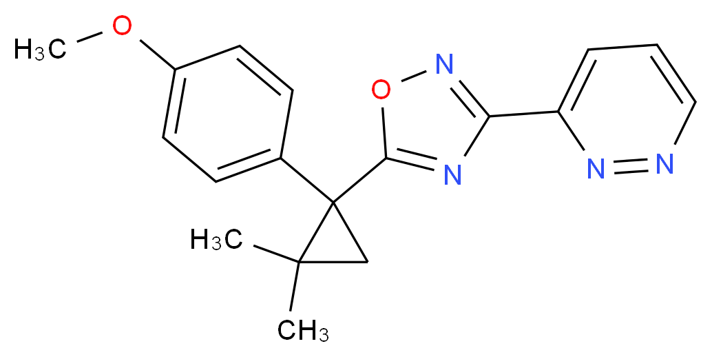 3-{5-[1-(4-methoxyphenyl)-2,2-dimethylcyclopropyl]-1,2,4-oxadiazol-3-yl}pyridazine_分子结构_CAS_)