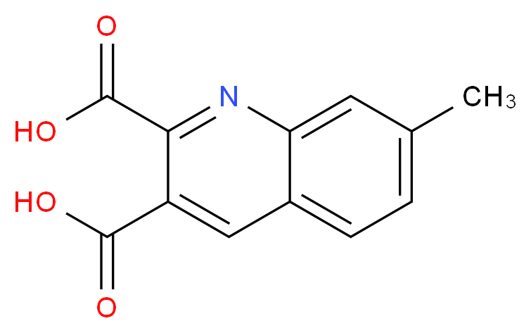 7-methylquinoline-2,3-dicarboxylic acid_分子结构_CAS_948291-03-0