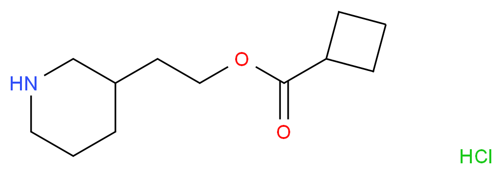 2-(3-Piperidinyl)ethyl cyclobutanecarboxylate hydrochloride_分子结构_CAS_)
