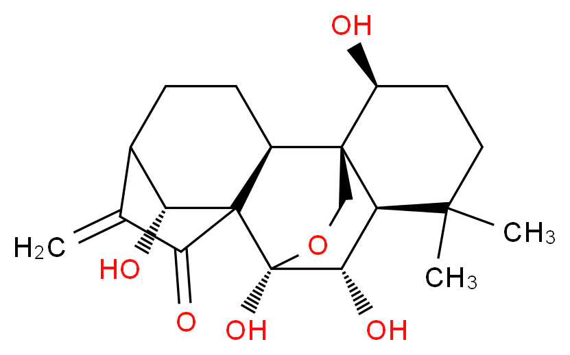 CAS_ 分子结构