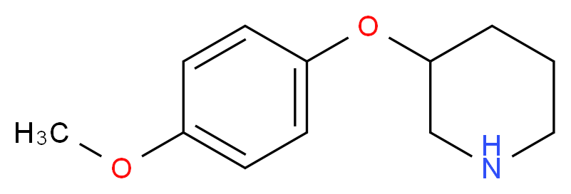 3-(4-methoxyphenoxy)piperidine_分子结构_CAS_38247-88-0