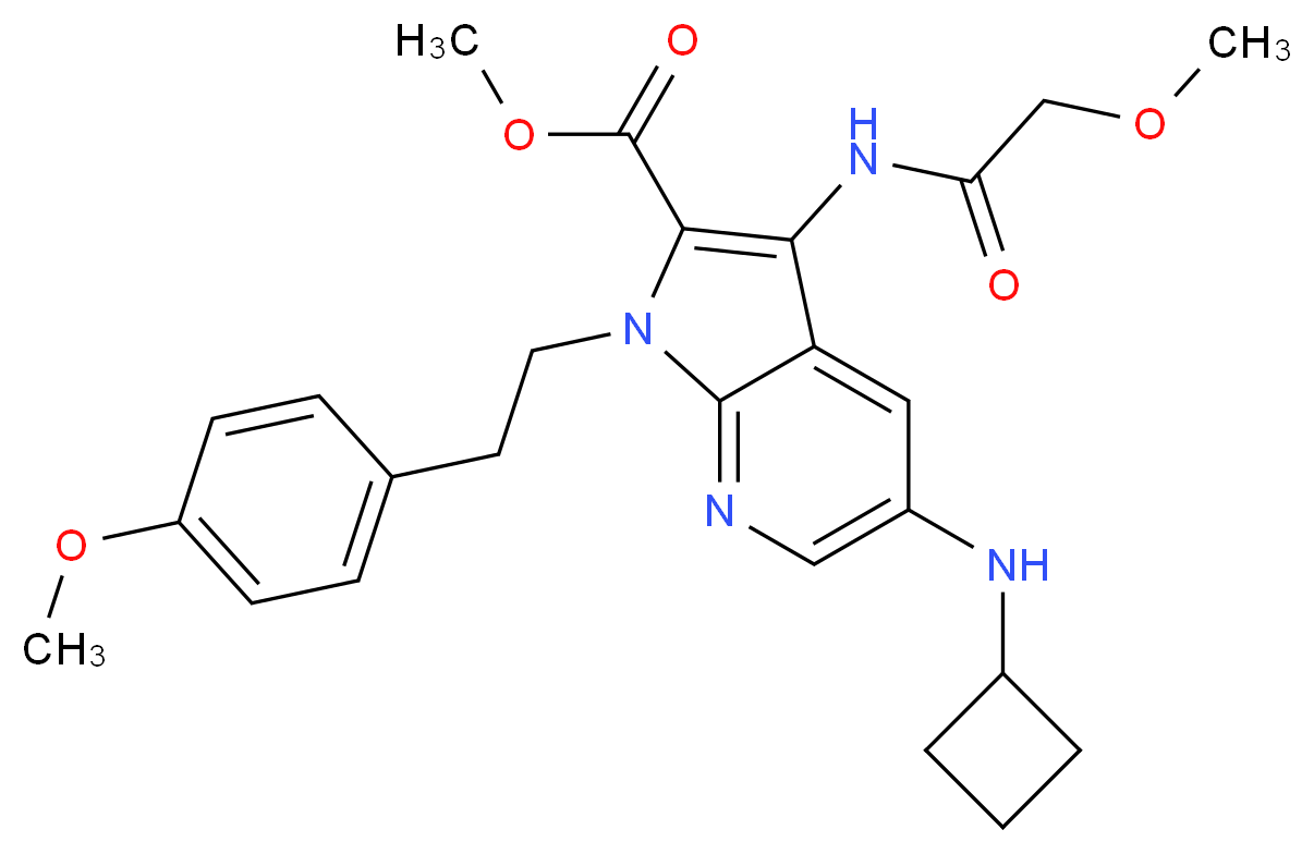 CAS_ 分子结构