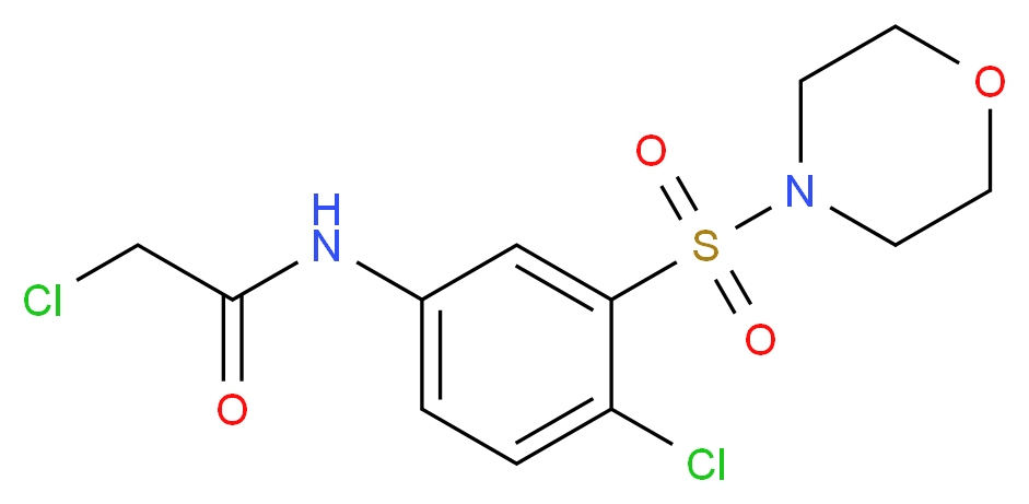 CAS_ 分子结构