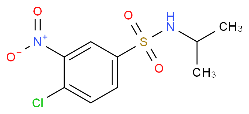 4-chloro-3-nitro-N-(propan-2-yl)benzene-1-sulfonamide_分子结构_CAS_96-59-3