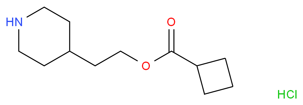 2-(4-Piperidinyl)ethyl cyclobutanecarboxylate hydrochloride_分子结构_CAS_)