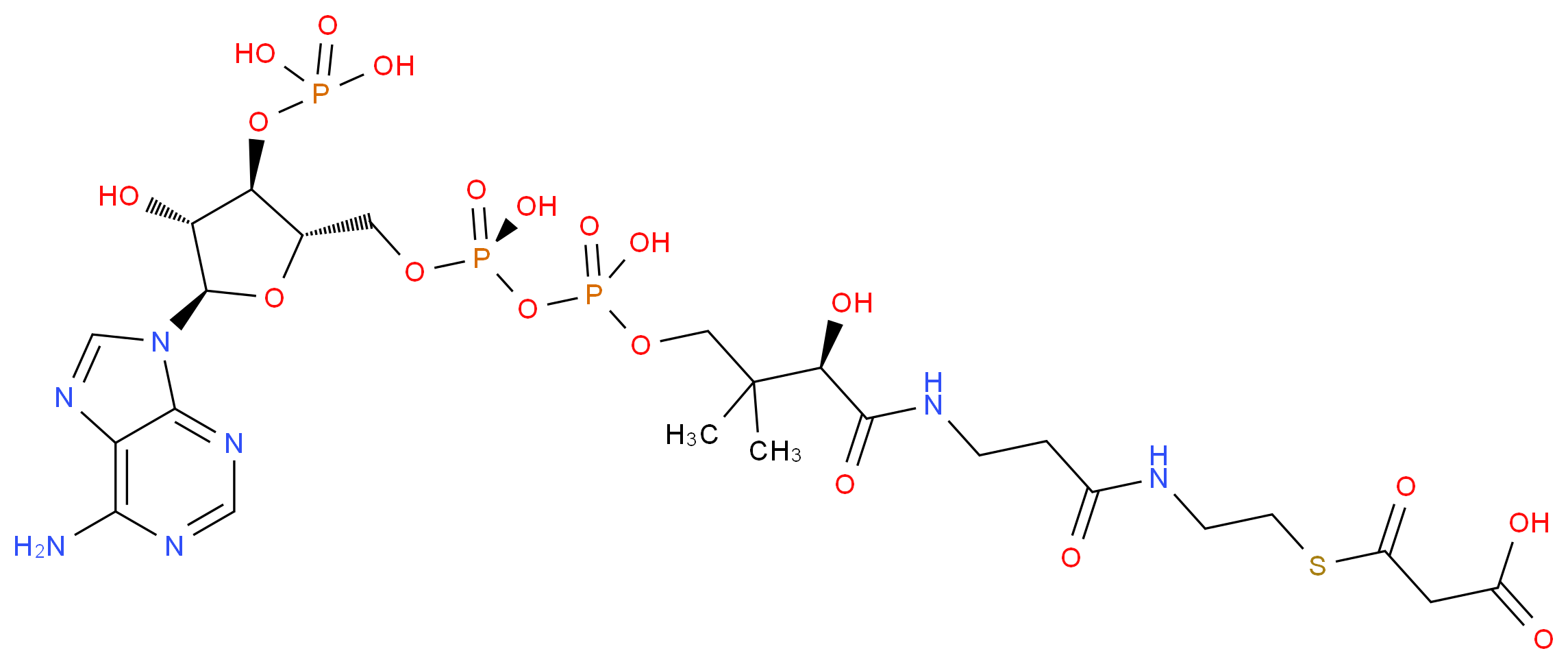 3-[(2-{3-[(2R)-3-[({[({[(2S,3R,4R,5R)-5-(6-amino-9H-purin-9-yl)-4-hydroxy-3-(phosphonooxy)oxolan-2-yl]methoxy}(hydroxy)phosphoryl)oxy](hydroxy)phosphoryl}oxy)methyl]-2-hydroxy-3-methylbutanamido]propanamido}ethyl)sulfanyl]-3-oxopropanoic acid_分子结构_CAS_524-14-1